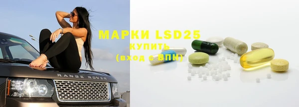 ECSTASY Липки