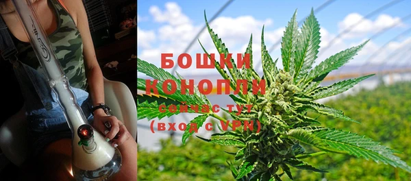 ECSTASY Липки