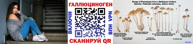 Галлюциногенные грибы мицелий  kraken рабочий сайт  Тетюши  купить  